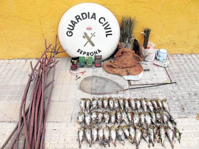 Dos años sin poder ‘matar para divertirse’ y multa de 1.000 euros por atraer a zorzales con reclamo prohibido