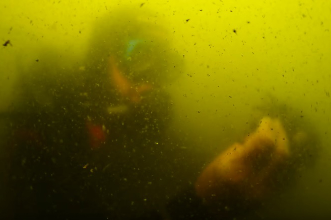 Colapso del Mar Menor