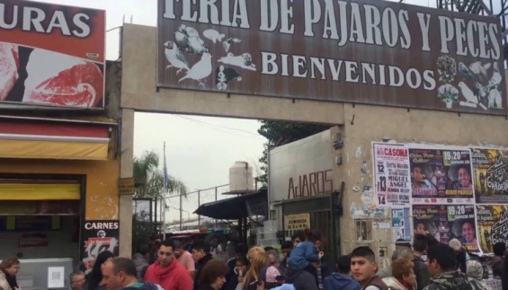 La Ciudad de Buenos Aires suspendió las actividades de la feria de pájaros de Nueva Pompeya