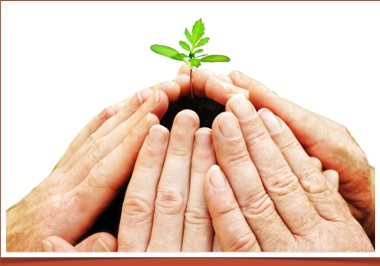 Españoles dispuestos a apoyar a las marcas ‘responsables’