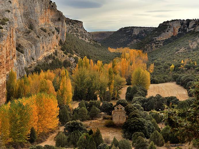 Hoces del Río Riaza ‘acoge’ más de 600 parejas de buitres leonados