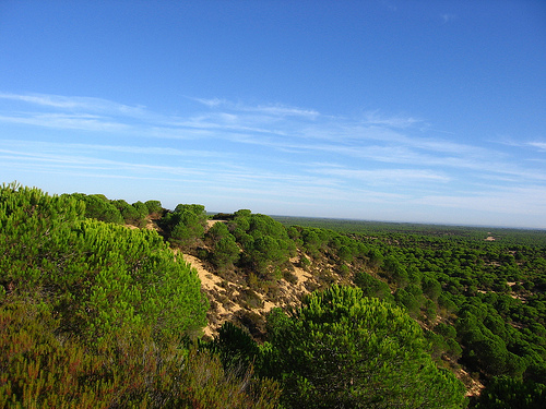 Junta oferta este año seis campos de voluntariado ambiental en espacios naturales protegidos