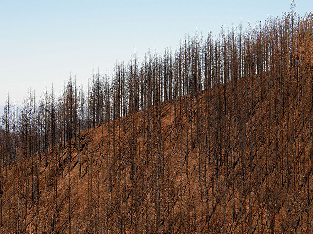 El incendio forestal de los municipios de Adeje y Vilaflor (Tenerife) se lleva por delante 1.200 hectáreas