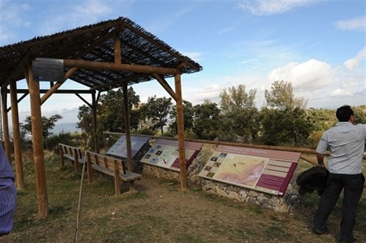 Gran potencial ornitológico en la provincia de Málaga