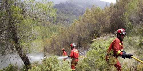 Cuatro de cada diez de los 143 incendios forestales en Baleares fue intencionado