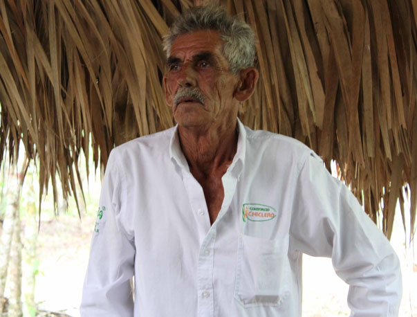 Producción de chicle orgánico