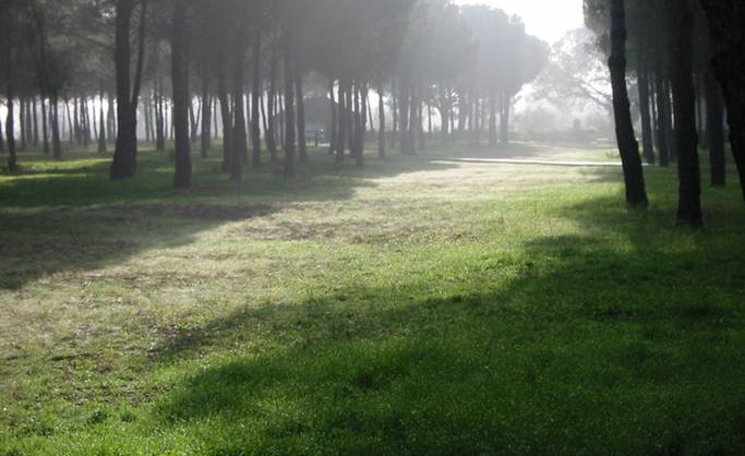 Doñana 21 y Enel Green Power España renuevan el convenio para promover actividades ambientales