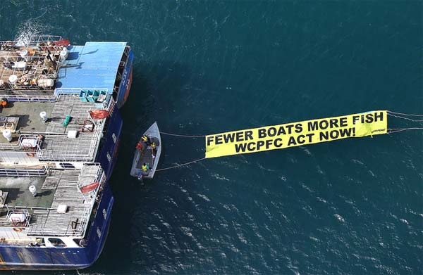 La sobrepesca de atún en el Pacífico Occidental y Central es ‘genocida’