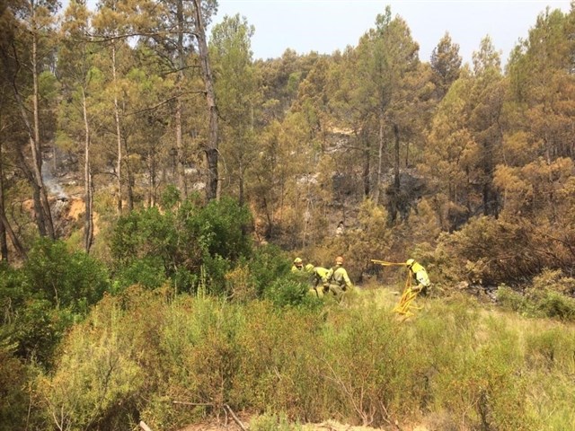 INFOCAM mantiene el plan de acción para consolidar el incendio de Yeste