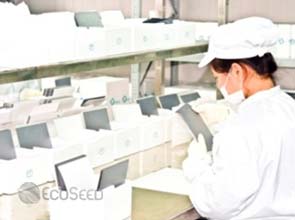 GCL-Poly to supply 10 GW worth of PV to JA Solar