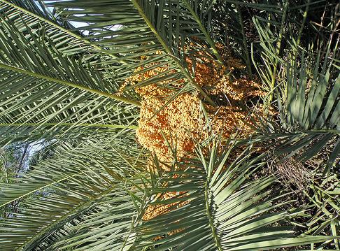 El Bosque Modelo Urbión selecciona candidatos para acceder al XXII Curso Intensivo Internacional sobre Manejo Diversificado de Bosques Naturales Tropicales que se celebrará en Costa Rica