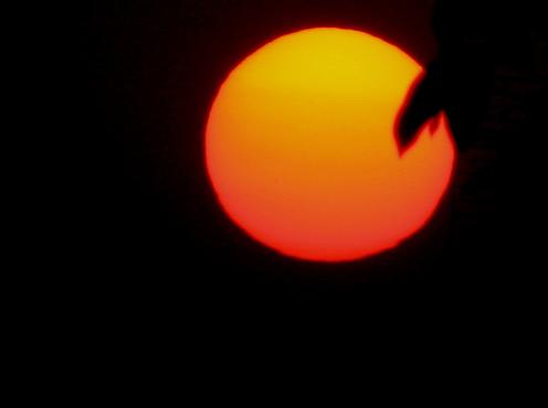 Nueva vivienda desmontable alimentada sólo con energía solar