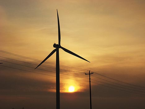 Pedro Marín se reúne con patronales de renovables para buscar su complicidad en la candidatura a Irena