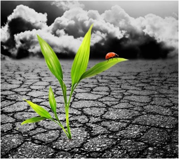 Esta noticia se dirige a los futuros especialistas en investigación y recuperación de aguas subterráneas y suelos contaminados