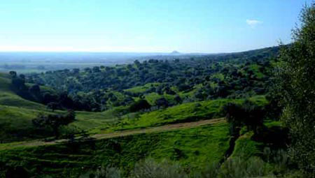El Parque Natural de Hornachuelos acaba el proceso para obtener la CETS