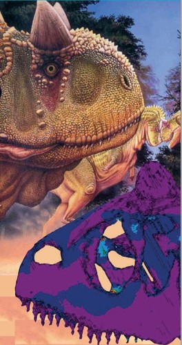 El Carnotauro vivió hace millones de años en la Patagonia