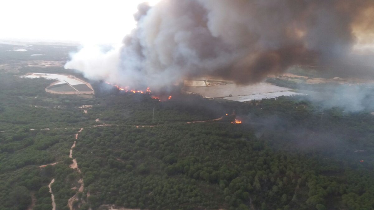 La ‘invasión’ de los montes y el incendio de Doñana
