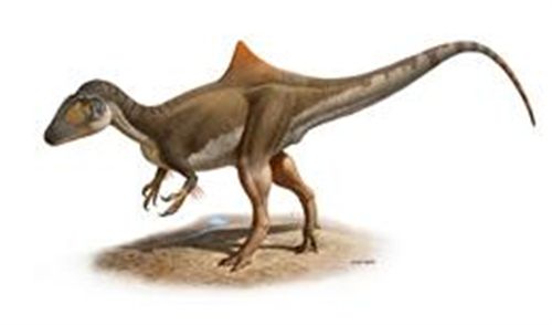Nature publica la descripción del dinosaurio jorobado de Cuenca