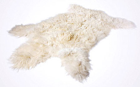 Por el final del comercio de productos de oso polar