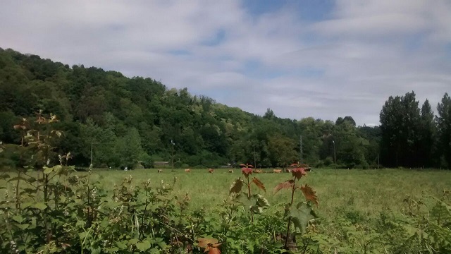 Asturias. Los vecinos de Oviedo no saben que viven con sus suelos contaminados