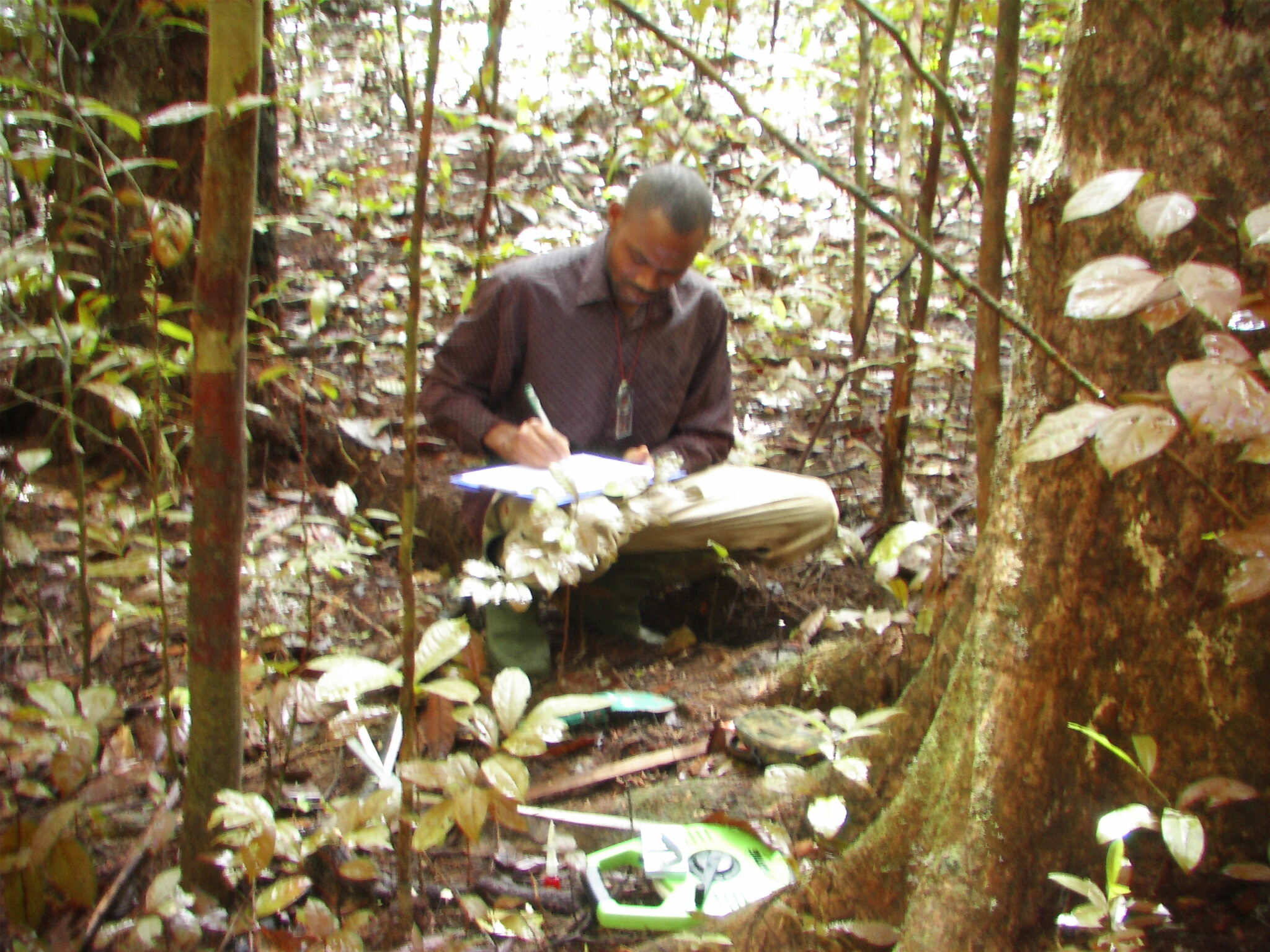 Expedición al Parque Nacional de Tai en Costa de Marfil por componentes del Proyecto Gran Simio
