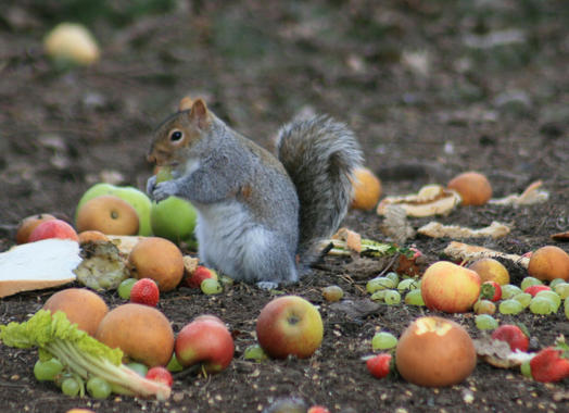 La actividad humana y el cambio de los ecosistemas