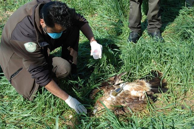 Plan andaluz de Inspección y Control Medioambiental