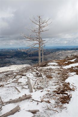 Ecodes pone en marcha un proyecto para mejorar la calidad medioambiental en las Cuencas Mineras