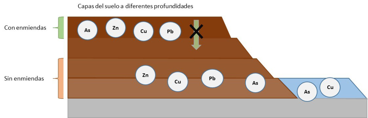Cómo usar residuos para disminuir metales en suelos contaminados