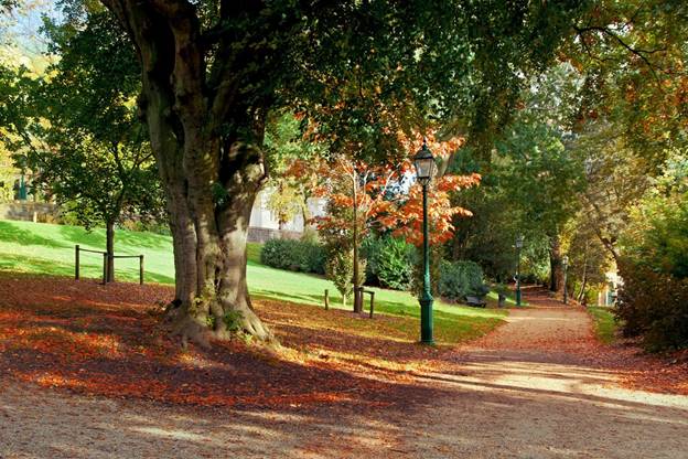 Especialistas de la Universidad de Hamburgo avanzan en la investigación del impacto del suelo en el clima local