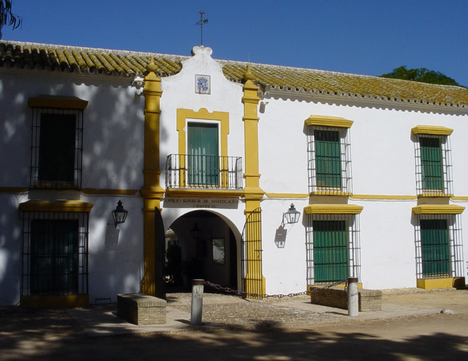 Fundación Doñana 21 y la estación biológica de Doñana ofertan becas para la formación práctica de universitarios y post-graduados de la comarca de Doñana