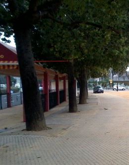 Sevilla (Los Remedios) exigen la retirada del hormigón de los alcorques