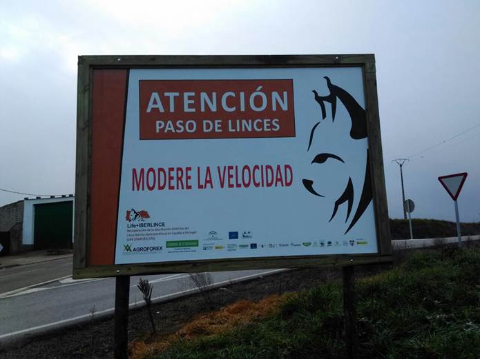 Iniciativa del Ayuntamiento de Montoro (Córdoba)