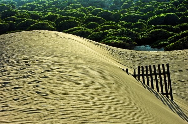 Quieren retirar arena de la duna Valdevaqueros (Cádiz) para otras playas
