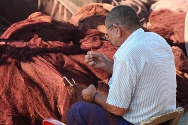 Europa prohíbe la pesca de arrastre de profundidad