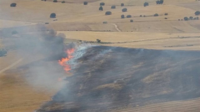 Tejerina: "En este país no hay recalificaciones por incendios ni incendios para la recalificación"