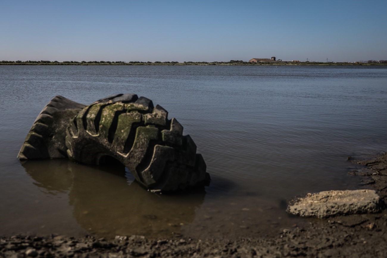 El Tajo: un río que se muere inexorablemente