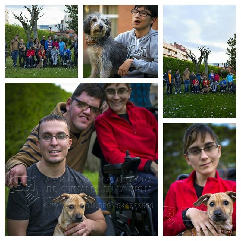 APA Rioja une voluntarios discapacitados y animales para recaudar fondos