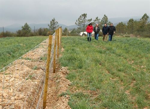 Monfragüe se repoblará con encinas y alcornocales