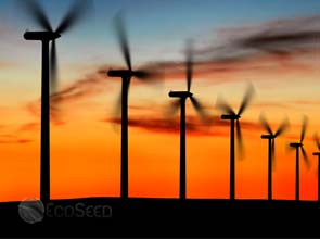 D.O.E. lab spots telling signs in U.S. wind sector