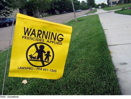 La Eurocámara quiere acabar con las sustancias cancerígenas de los plaguicidas no agrícolas