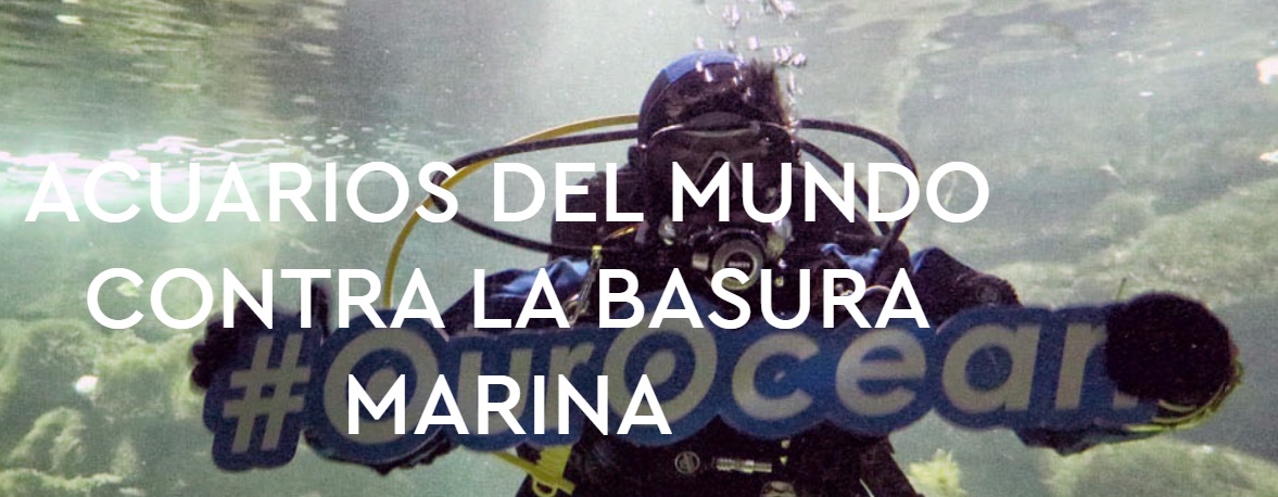 Los acuarios aúnan fuerzas para luchar contra la basura marina