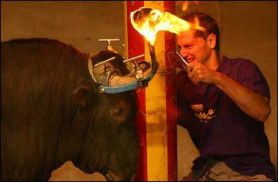 Gobierno quiere ‘combinar respeto a la tradición y a los animales’