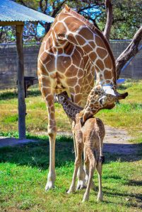 Costa Rica. Esta es Lydia