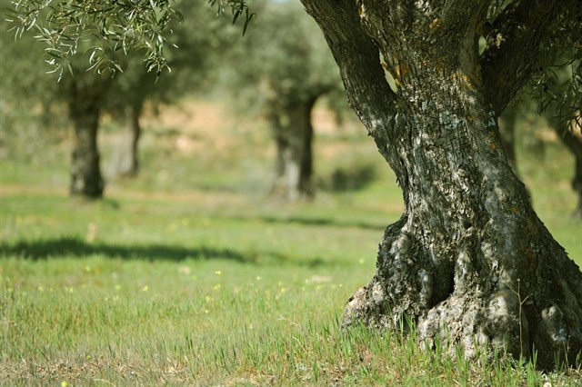 La biosfera ha entrado en transición