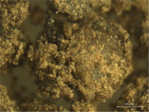 Material a partir de los lodos residuales de depuradoras mejora el rendimiento agrícola