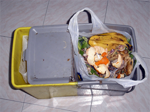 Más de 800 familias de Deusto recogen 3.500 kilos de materia orgánica dentro de un programa de recogida selectiva