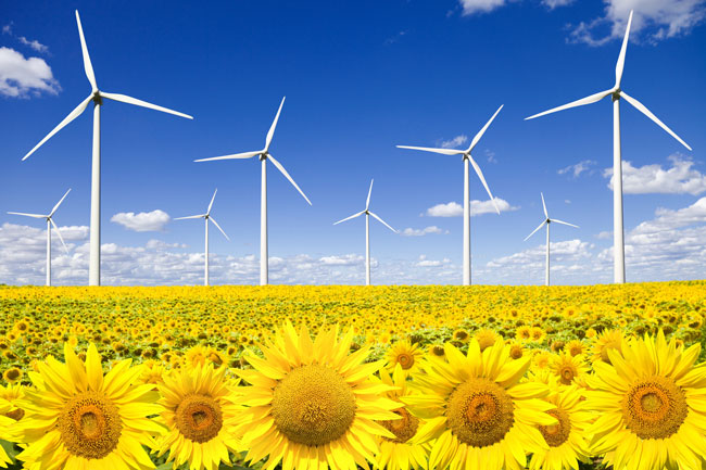 Canarias tendrá finalmente un trato especial con respecto a las energías renovables