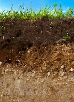 4ª Edición - Especialista en investigación de suelos contaminados