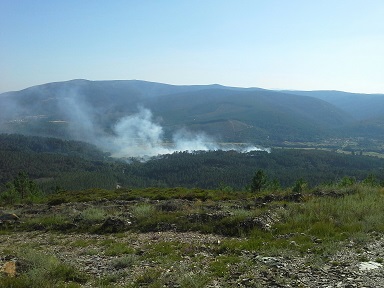 El Ministerio de Agricultura